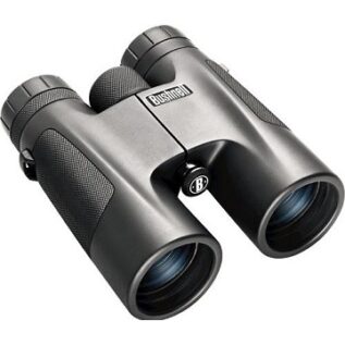 Bushnell Binocular - PowerView (10mm x 42mm)